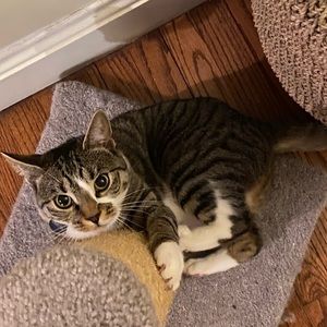 Meet your Posher, Alana